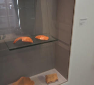 Museum für Vor- und Frühgeschichte