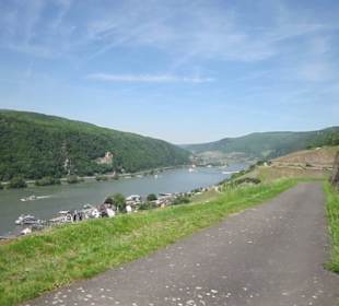 Impressionen Kräuterweg in Assmannshausen