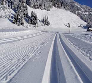 Perfektes Loipennetz