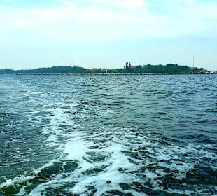Apollo Tagestour zur Greifswalder Oie 