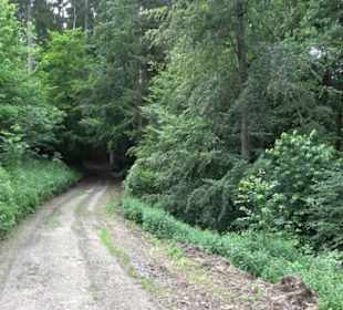 Schutzgebiet Spitzberg, Pfaffenberg