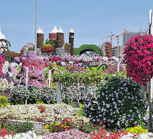 Dubai Miracle Garden