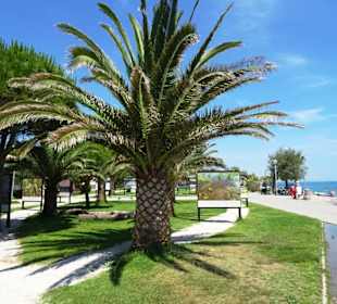 Spaziergang über die Strandpromenade Argelès-Plage