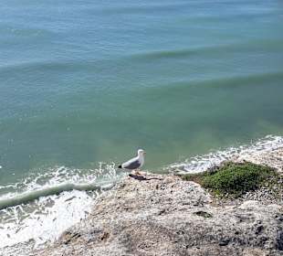 Klippenwandern Benagil