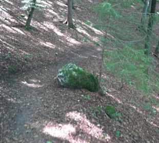 Sternberg