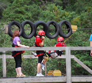 Flying Fox