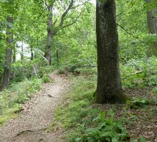 Aufstieg nach St. Muffert
