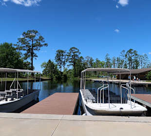 Okefenokee National Wildlife Refuge