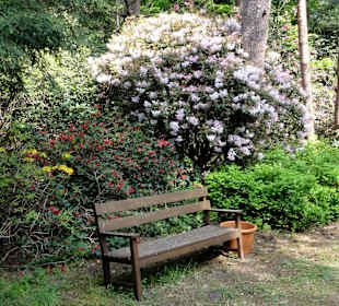 Impressionen vom Rundweg durch den Park