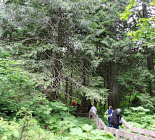 Yoho Nationalpark
