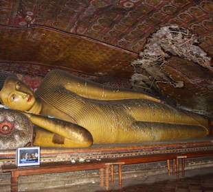 Höhlenfelsen Dambulla