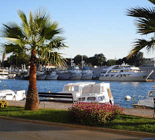 Unter Palmen sitzen und dem Treiben zusehen