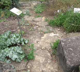 Apothekergarten