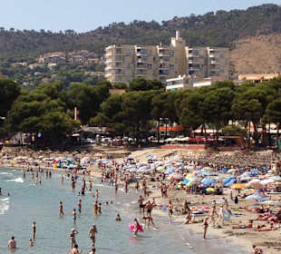 Strand in Paguera