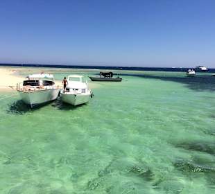 Utopia Island (Ausflug)