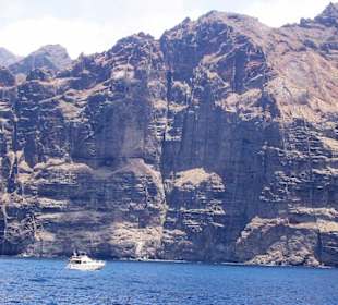 Los Gigantes