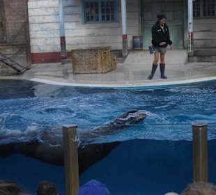 Taronga Zoo