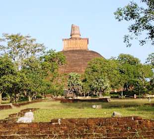 Anuradhapua polonnaruwa ruin city