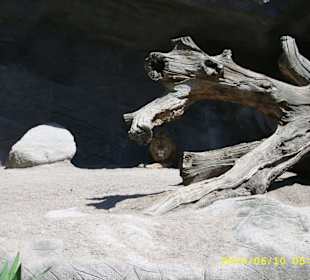Tierpark Hagenbeck