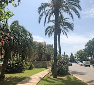 Altstadt Alcudia