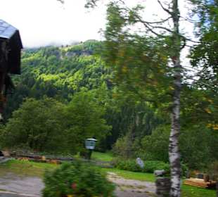 Eingangsbereich und Außengarten