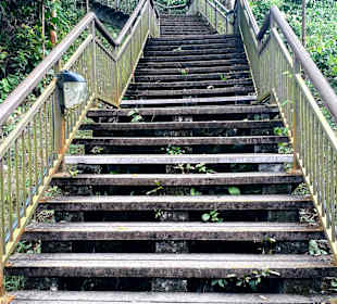 Marang Trail auf den Mount Faber