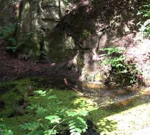 Wanderweg - Alter Steinbruch Pfaffenberg Runde