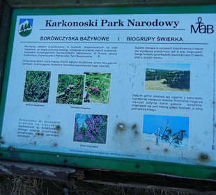 Karkonoski Park Narodowy