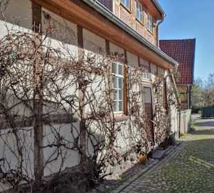Impressionen aus der Altstadt von Wildeshausen
