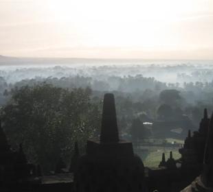 Morgennebel am Borobudur