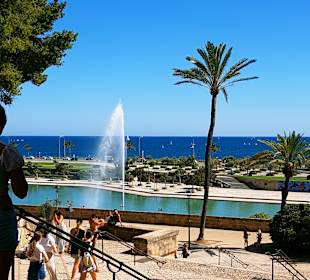 Stadtrundfahrt Palma