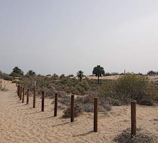 Strand Playa del Ingles