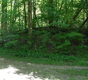 Mittlerer Gönninger See