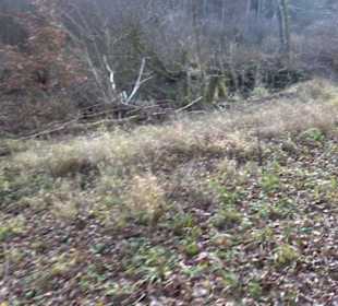 Schönbuch Schaichtal