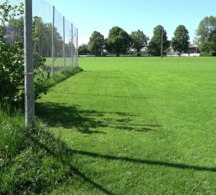 Sportplatz 1 (Rasen) Herlazhofer