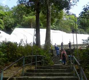 Cu Berg