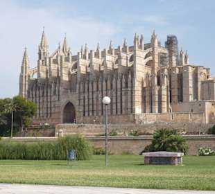 Palma