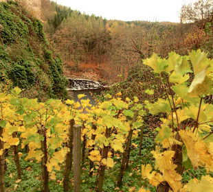 Blick ins Tal vom Eingang