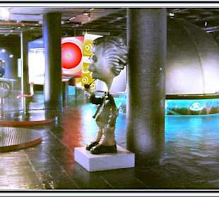 Elder-Museum Las Palmas