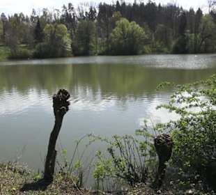 Sport- und Freizeitpark Markwasen