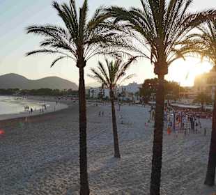 Alcudia