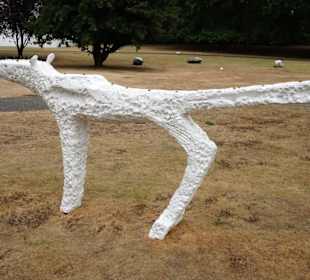 Rundgang durch den Skulpturenpark Köln