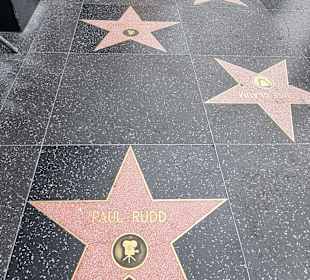 Paul Rudd
