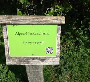 Arboretum