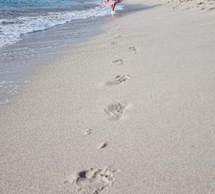 Strand Sa Coma