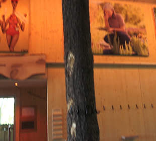 Wellnessbereich Mawell Resort 