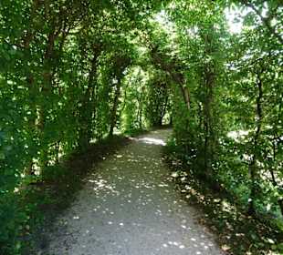 Impressionen aus dem Hofgarten Veitshöchheim