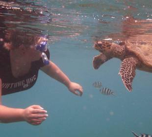 Hey Dude bist duz auch mit den Quallen geschwommen