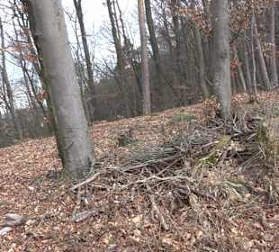 Unterjesinger Wengertwegle