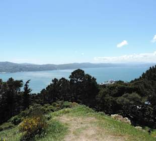 Blick über die Stadt